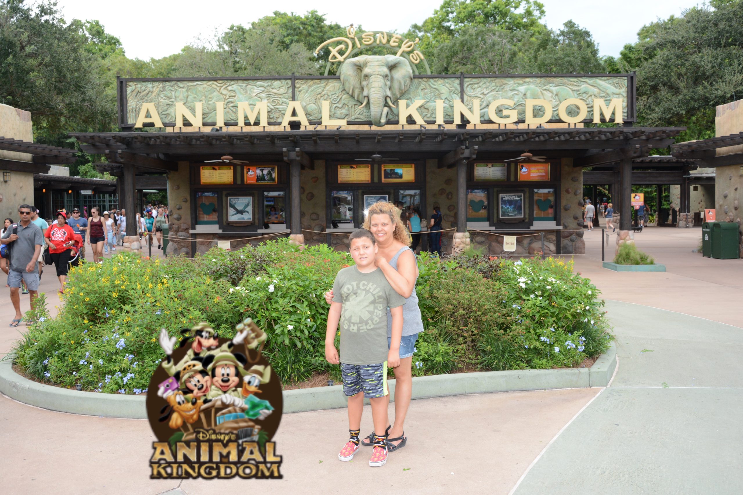 Animal Kingdom