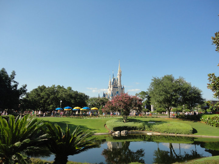 Magic Kingdom