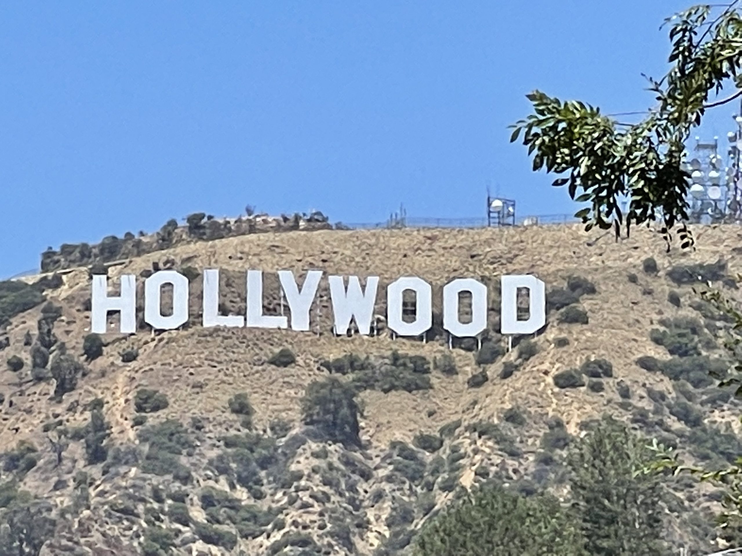 The Hollywood Sign