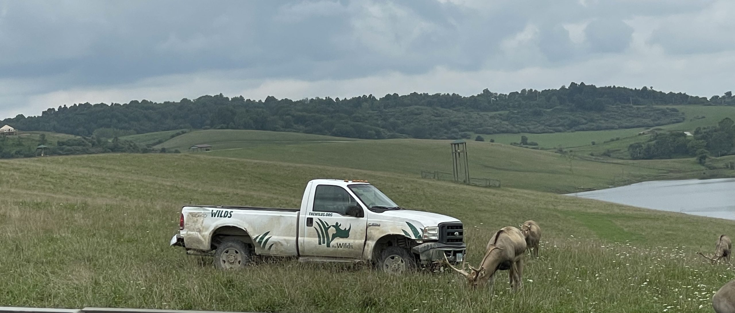 The Wilds, Cumberland, Ohio