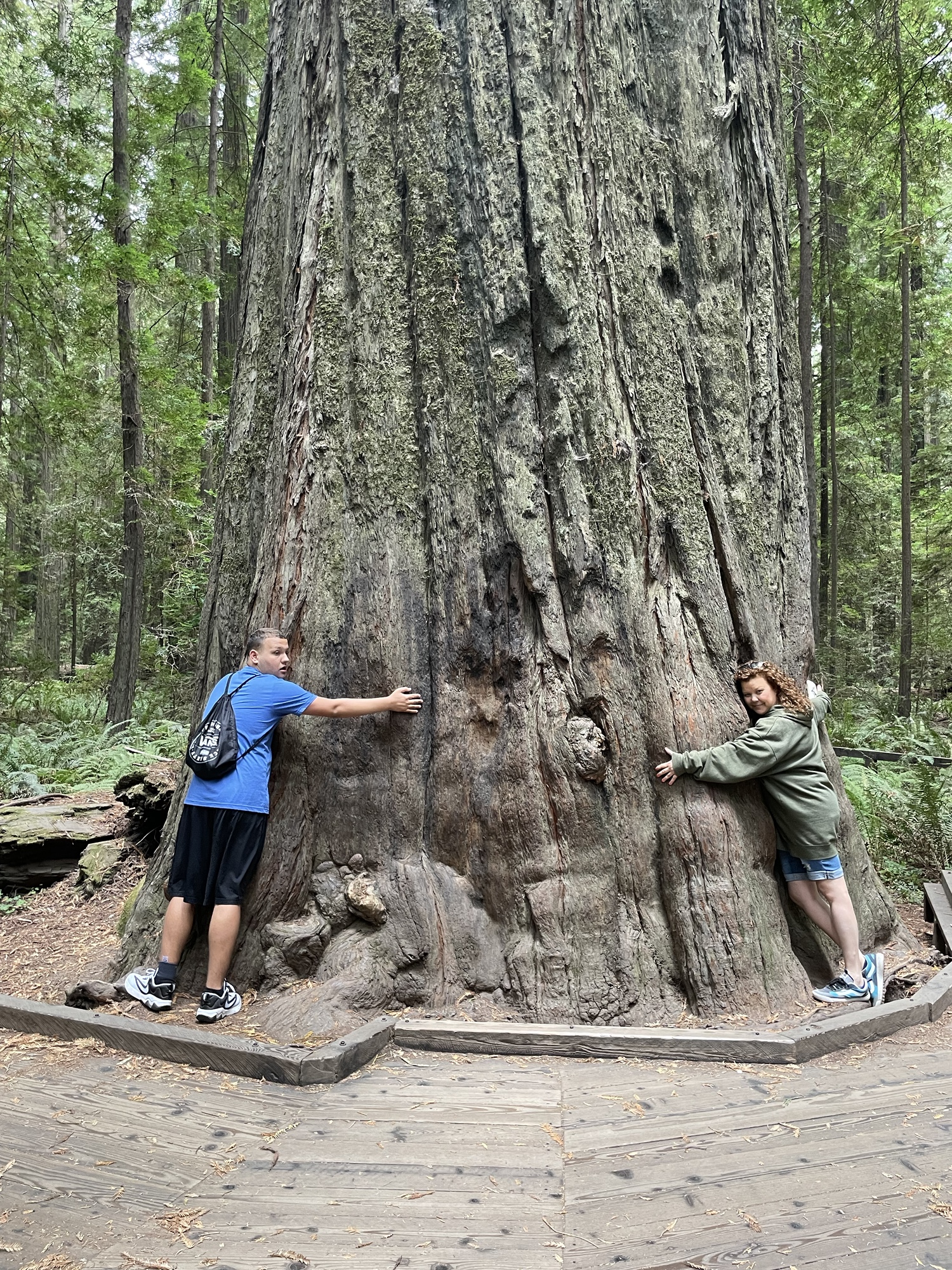 PCH – Day Six – Crescent City, CA to Gualala, CA – The Redwoods