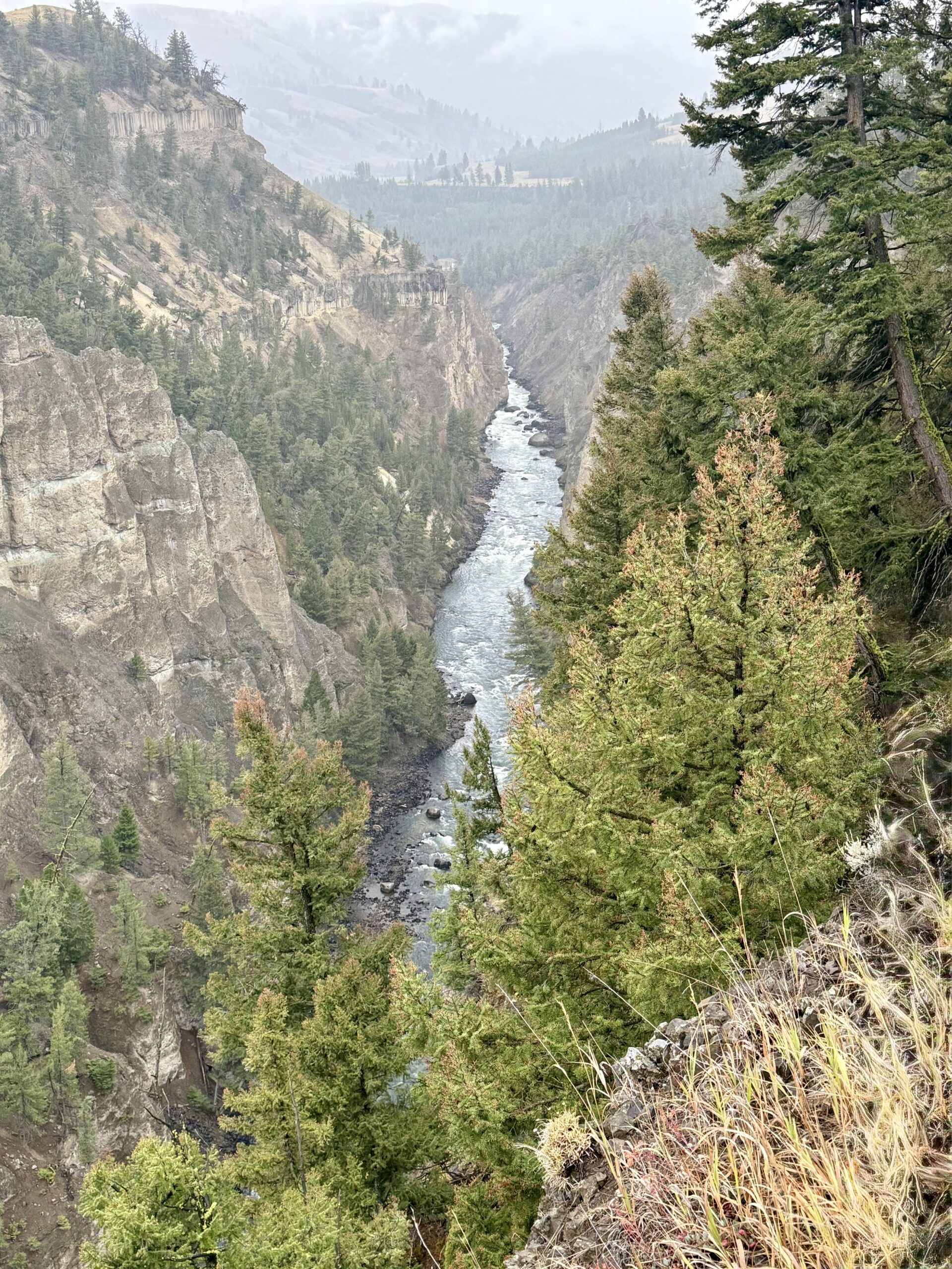 Mighty Five +2 – Day Thirteen– Yellowstone: Wildlife & Surprises