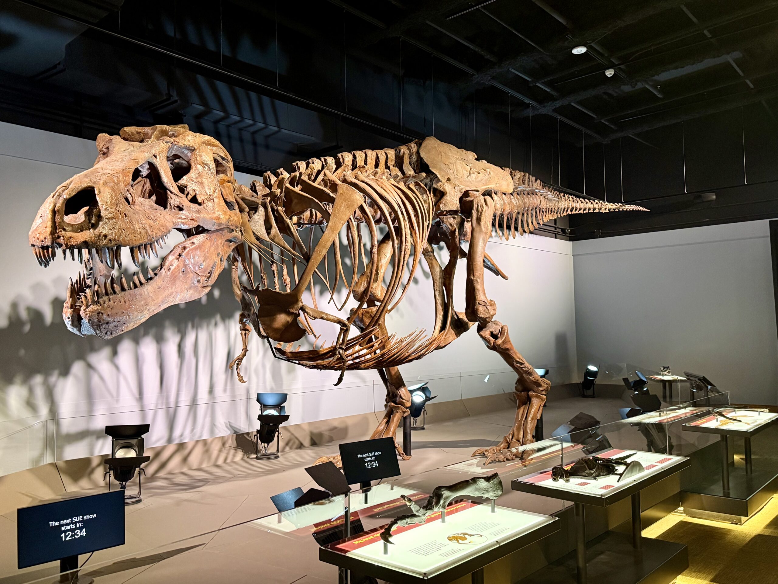 Mighty Five +2 – Day Fifteen – Bozeman to Home